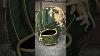 Better Baseball Exclusive Claymore Rawlings Heart Of The Hide 11 5 Pro204
