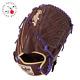 Rawlings Baseball Glove Heart Of The Hide Pitcher Wizard Colors Sherry 11.75