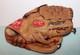 Rawlings Hoh Heart Of The Hide Pro-1000bc Gold Glove 12 Rht Baseball Glove
