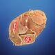 Rawlings Heart Of Hide Gold Glove Series Catchers Mitt Pro Made In Usa