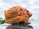 Rawlings Heart Of The Hide Horween Usa 11.75 Lht Baseball Glove