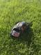 Rawlings Heart Of The Hide Pro-tt2-1bdsr 11.5with American Flag Patch Very Rare