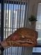 Rawlings Heart Of The Hide Pro-201tl 11.5 Oil Treated Horween Baseball Glove