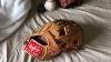 Rawlings Heart Of The Hide Tt2 Game Day Glove Review This Is Baseball Swag
