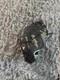 Rawlings Heart Of The Hide 1st Base Baseball Glove Silver Grey 13 In Rht