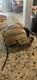 Rawlings Heart Of The Hide Color Sync 5.0 11.75 Baseball Glove Pro205-30cr