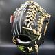 Rawlings Japan Gold Glove Hoh Heart Of The Hide Rht Lh Outfielder 12.5 Limited