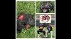 Rawlings Pro Preferred Vs Heart Of The Hide Catchers Mitts Review