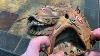 Vintage Rawlings Heart Of The Hide Usa Horween Leather Baseball Glove