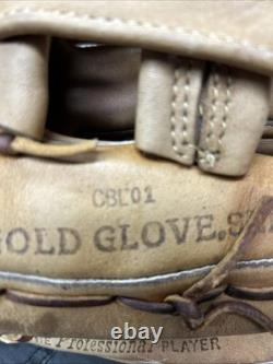 Vintage Rawlings Heart of the Hide PRO-HF (Incredible Condition) HORWEEN Leather